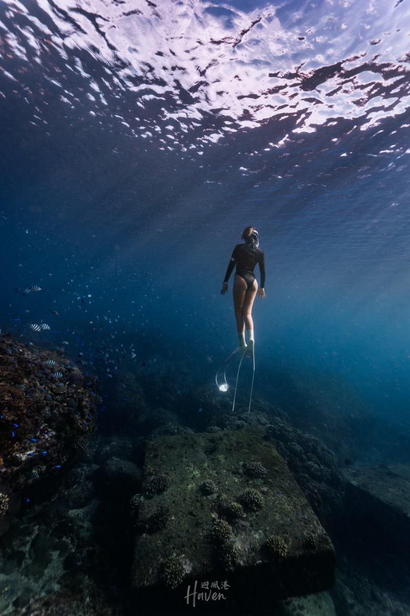 AIDA1 入門自由潛水