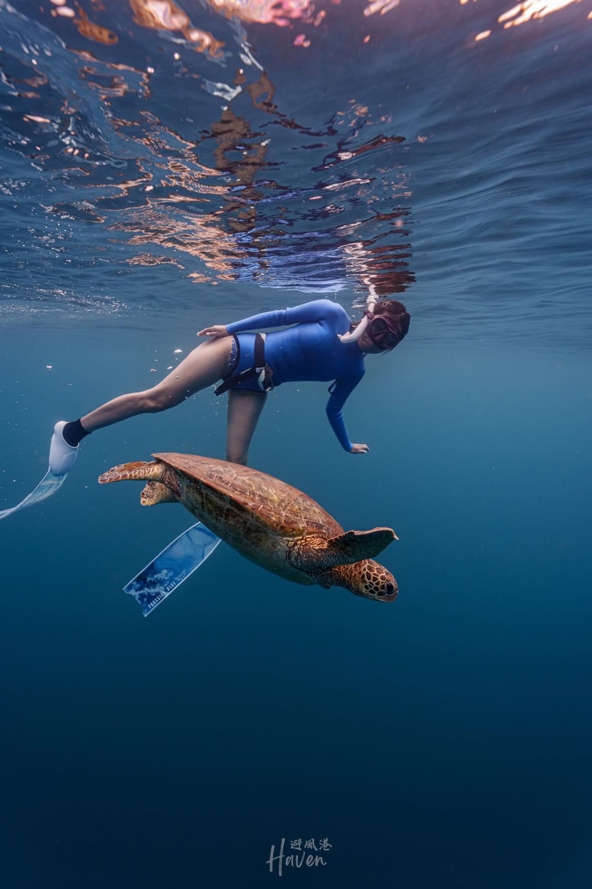 自由潛水體驗課